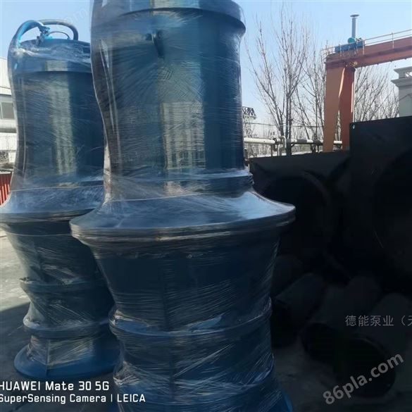 天津大排量轴流潜水泵 配套电气